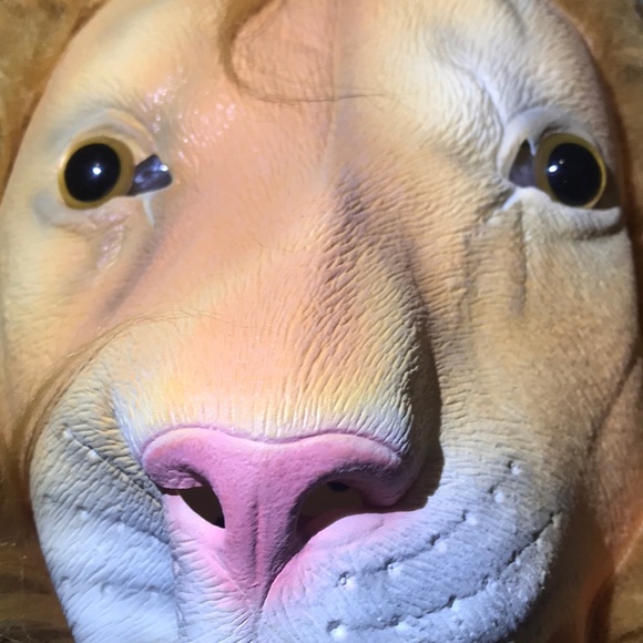 Mask - Picture 2 of 11